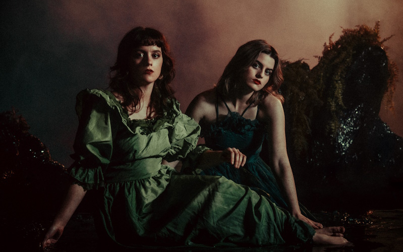 charm-of-finches2-800