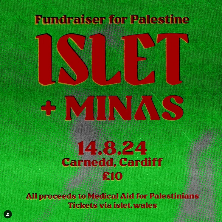 Screenshot 2024-07-23 at 13-15-02 Carnedd Caerdydd (@ca[...]