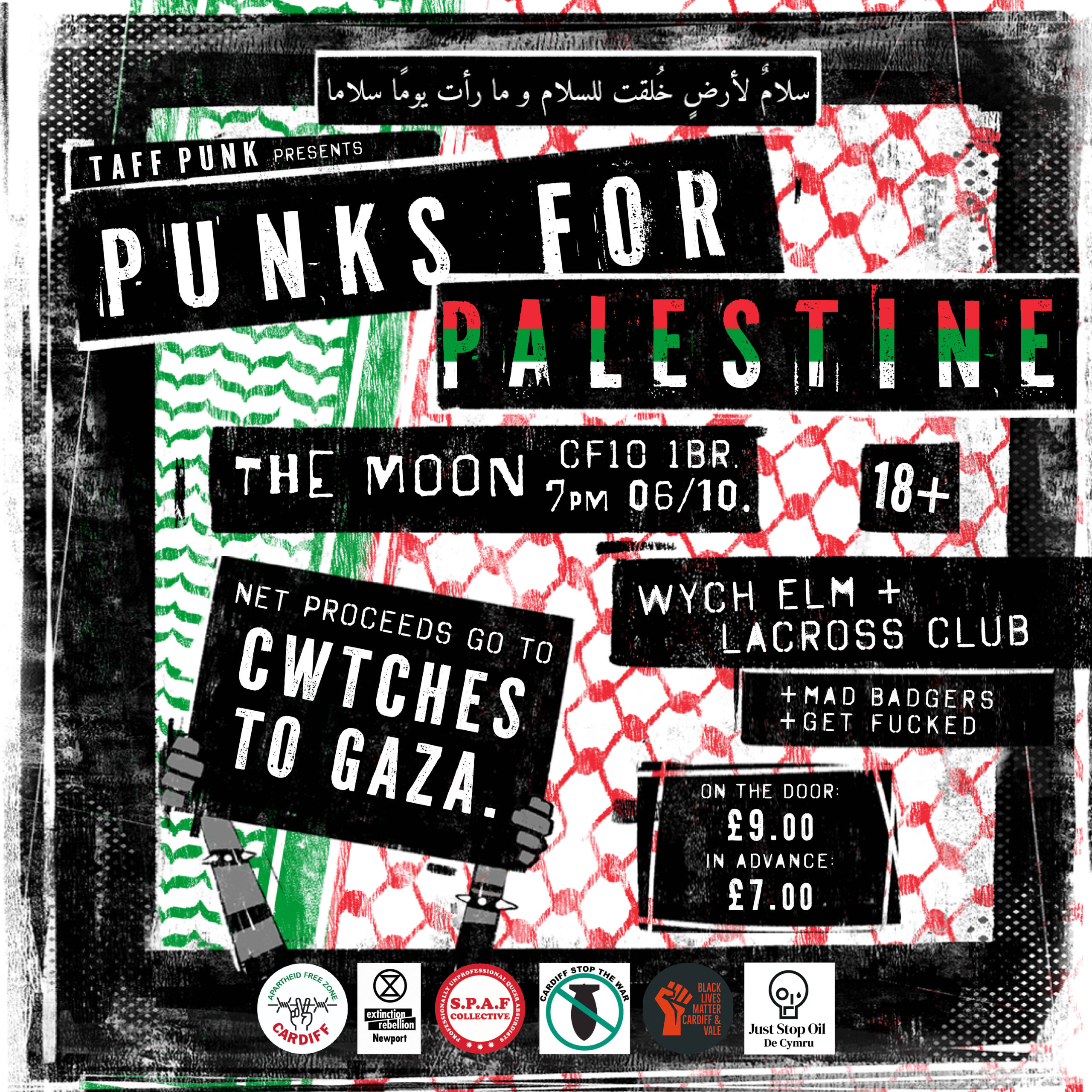 Punks For Palestine