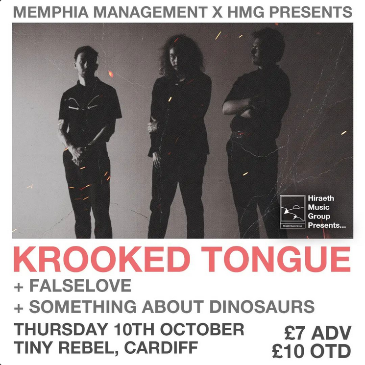 Screenshot 2024-10-10 at 14-13-03 Hiraeth Music Group (@hmgpresents) • Instagram photos and videos