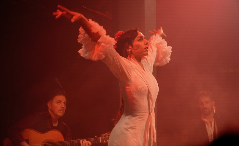 fuego_sol_y_agua-7277970657