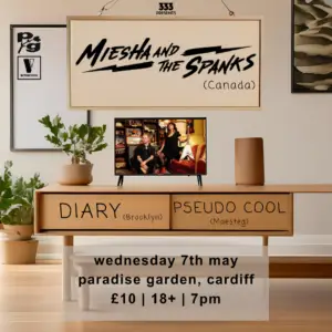 Miesha and The Spanks, Diary & Pseudo Cool