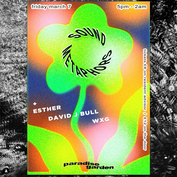 Screenshot 2025-03-06 at 11-28-08 David J Bull (@david_j_bull) • Instagram photos and videos