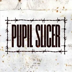 pupil-slicer--1174344616-300x300